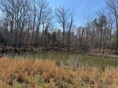 152 Acre Stone Gate Farm Road (Unrestricted) Donalds SC 29638