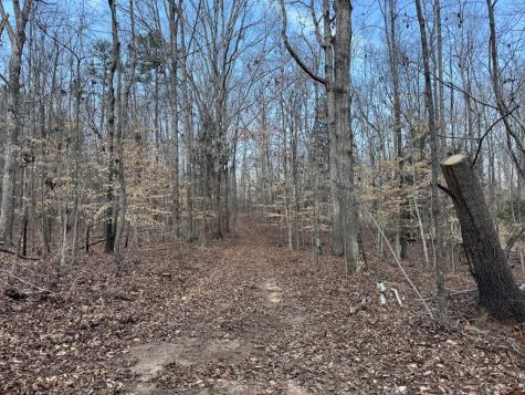 152 Acre Stone Gate Farm Road (Unrestricted) Donalds SC 29638