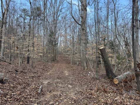 152 Acre Stone Gate Farm Road (Unrestricted) Donalds SC 29638