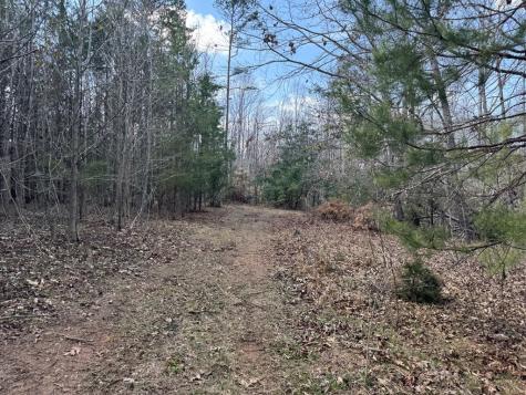 152 Acre Stone Gate Farm Road (Unrestricted) Donalds SC 29638