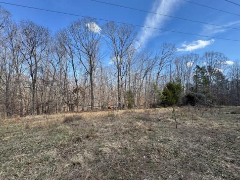 152 Acre Stone Gate Farm Road (Unrestricted) Donalds SC 29638