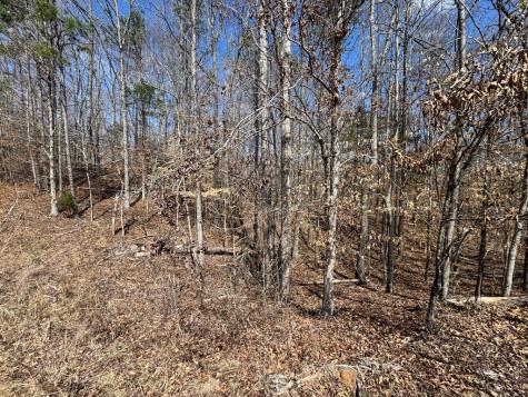 152 Acre Stone Gate Farm Road (Unrestricted) Donalds SC 29638