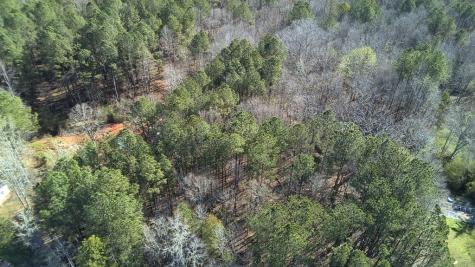 Lot 6 - Boyds Mill Pond Road Laurens SC 29360