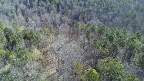 Lot 6 - Boyds Mill Pond Road Laurens SC 29360