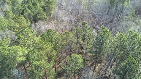 Lot 6 - Boyds Mill Pond Road Laurens SC 29360