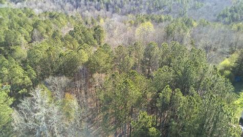 Lot 6 - Boyds Mill Pond Road Laurens SC 29360