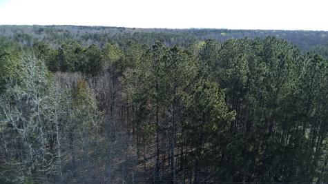 Lot 6 - Boyds Mill Pond Road Laurens SC 29360