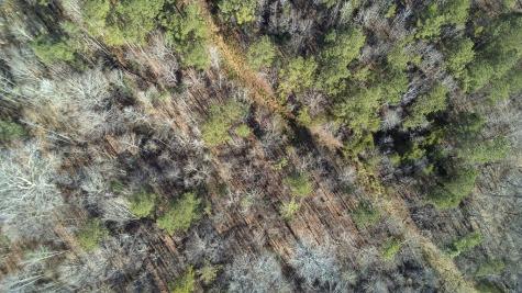 Lot 6 - Boyds Mill Pond Road Laurens SC 29360