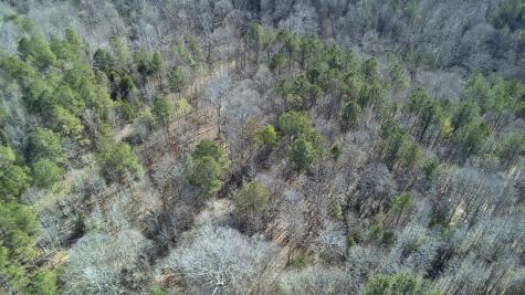 Lot 6 - Boyds Mill Pond Road Laurens SC 29360