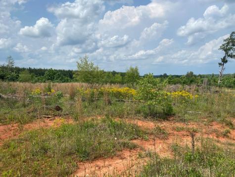 3393 Poplar Springs Ware Shoals SC 29692