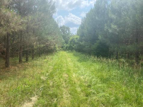 3393 Poplar Springs Ware Shoals SC 29692