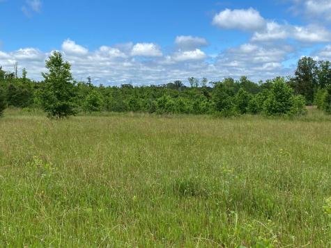3393 Poplar Springs Ware Shoals SC 29692