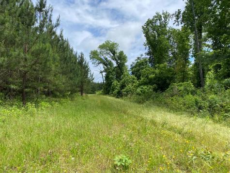 3393 Poplar Springs Ware Shoals SC 29692