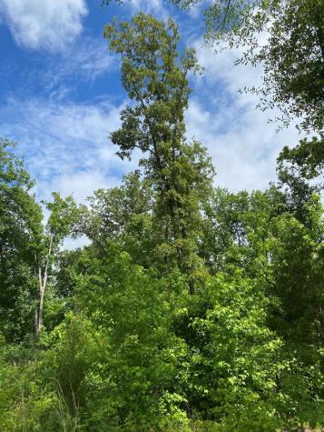 3393 Poplar Springs Ware Shoals SC 29692