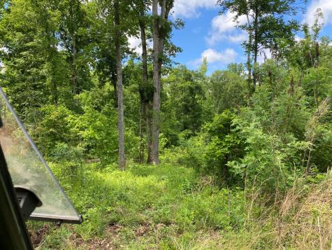 3393 Poplar Springs Ware Shoals SC 29692