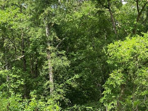 3393 Poplar Springs Ware Shoals SC 29692