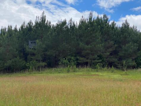 3393 Poplar Springs Ware Shoals SC 29692