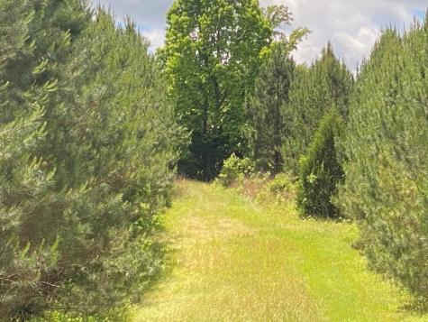 3393 Poplar Springs Ware Shoals SC 29692