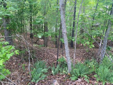 3393 Poplar Springs Ware Shoals SC 29692