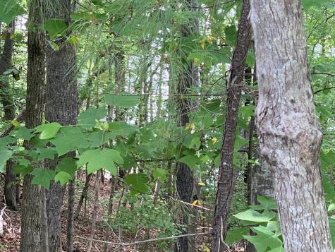 3393 Poplar Springs Ware Shoals SC 29692