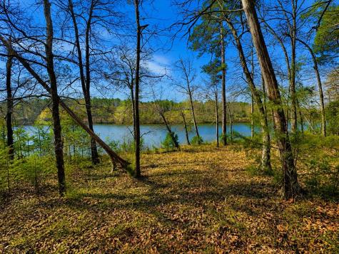 519 Terrapin Pointe Road Hodges SC 29653