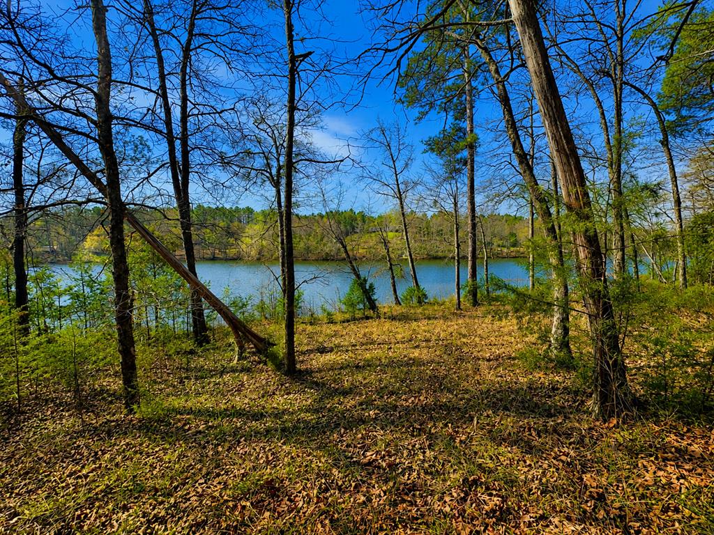 519 Terrapin Pointe Road Hodges SC 29653