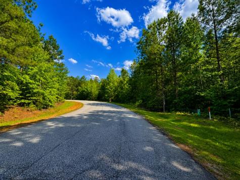 519 Terrapin Pointe Road Hodges SC 29653