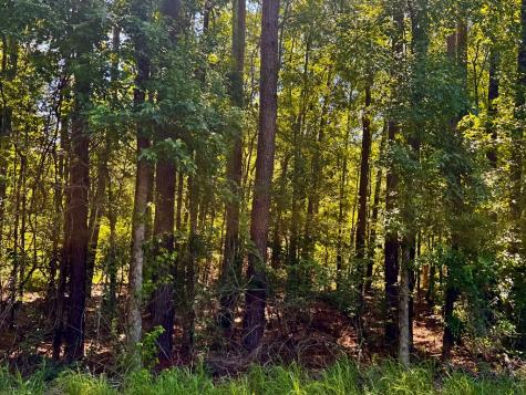 Lot 8 Serpentine Drive Mccormick SC 29835