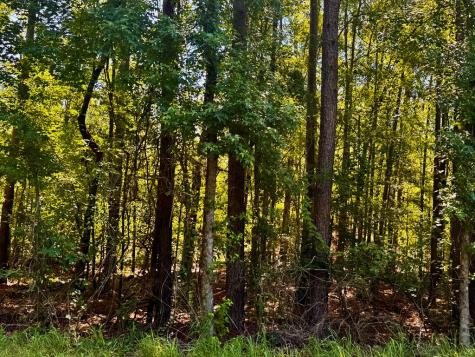 Lot 8 Serpentine Drive Mccormick SC 29835