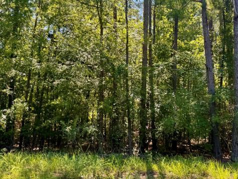 Lot 8 Serpentine Drive Mccormick SC 29835