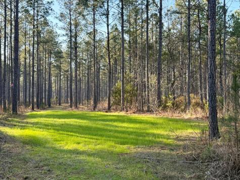 00 Highway 28 Abbeville SC 29620