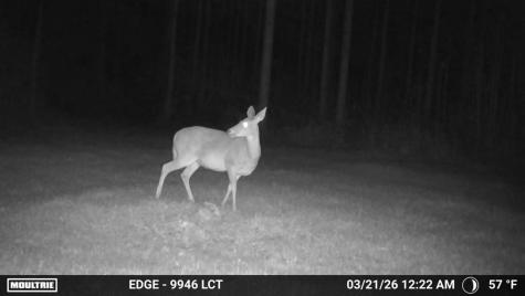 00 Highway 28 Abbeville SC 29620