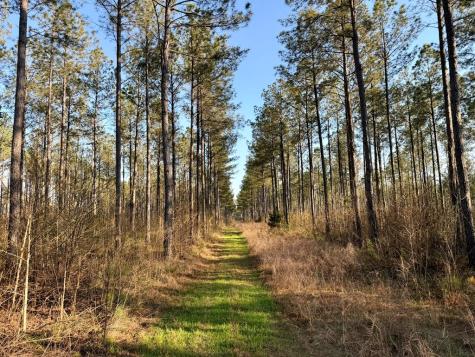 00 Highway 28 Abbeville SC 29620
