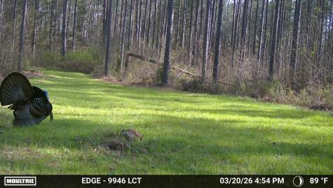 00 Highway 28 Abbeville SC 29620
