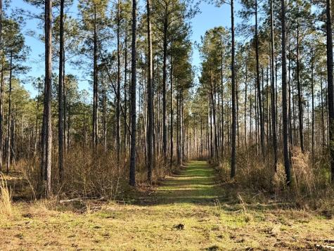 00 Highway 28 Abbeville SC 29620
