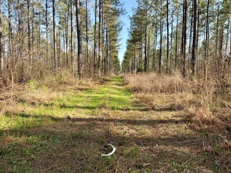 00 Highway 28 Abbeville SC 29620