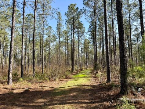 00 Highway 28 Abbeville SC 29620