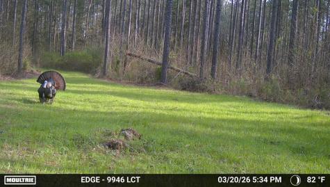 00 Highway 28 Abbeville SC 29620