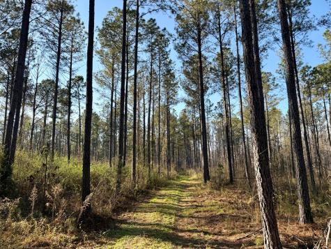 00 Highway 28 Abbeville SC 29620