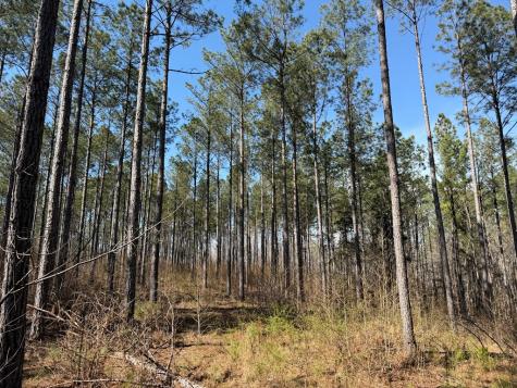 00 Highway 28 Abbeville SC 29620