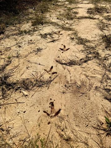 00 Highway 28 Abbeville SC 29620