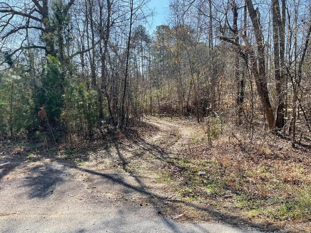 1978 Old Douglas Mill Road Abbeville SC 29620