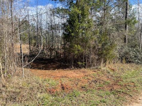 1978 Old Douglas Mill Road Abbeville SC 29620