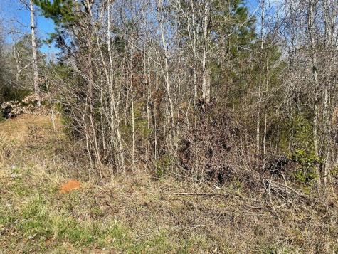 1978 Old Douglas Mill Road Abbeville SC 29620