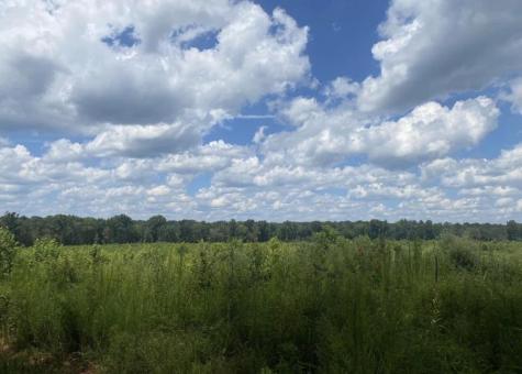 452 Bowie Road Troy SC 29848
