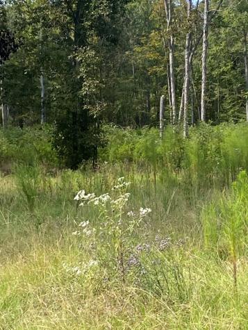 5506 Highway 72 Calhoun Falls SC 29628