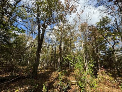02 Seneca St Extension Calhoun Falls SC 29628