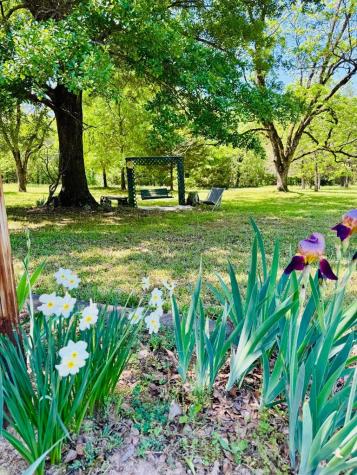 3062 Horseshoe Road Iva SC 29655