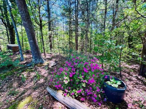 3062 Horseshoe Road Iva SC 29655