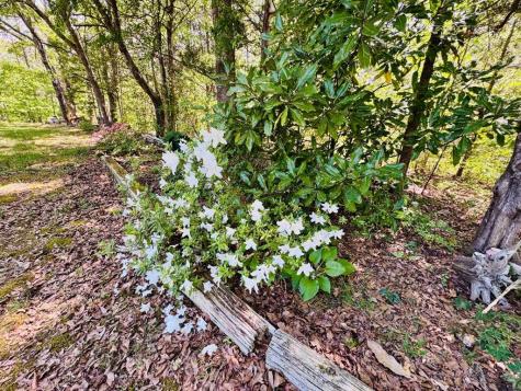 3062 Horseshoe Road Iva SC 29655
